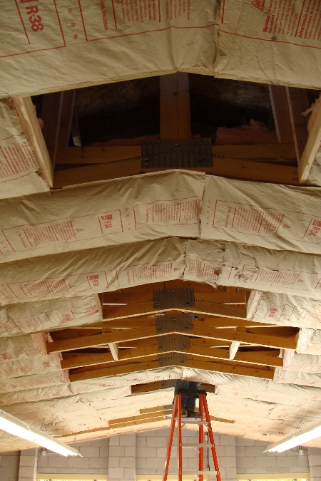 Ceiling Insulation