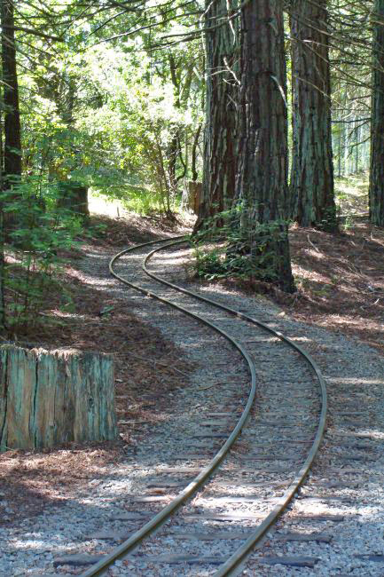 Redwood Valley Railway