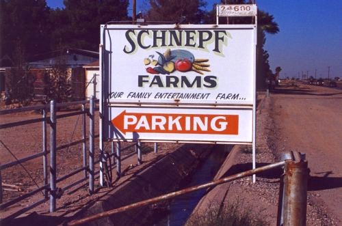 Welcome to Schnepf Farms